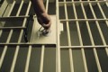 В Зеленограде задержаны квартирные мошенники-рецидивисты