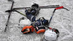 В усадьбе Люблино появится хоккейная площадка с искусственным льдом