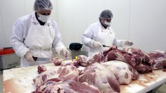Кронштадтский мясоперерабатывающий завод выставлен на продажу
