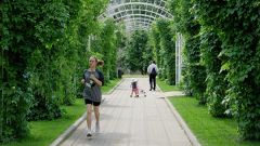 Около 60 парков Москвы благоустроят в этом году по программе "Мой район"