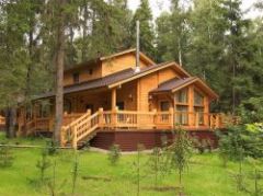 Рослесхоз разъяснил новые правила строительства домов в лесу