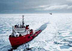 Освоение Арктики может обойтись России в 222 млрд. рублей