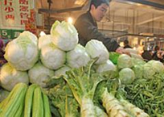 Полностью удовлетворить спрос России на овощи и фрукты обещает Китай