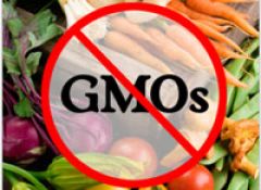 Закон о запрете продуктов с ГМО может быть принят в России