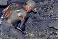 Экологический проект ООН профинансируют угольные компании Кузбасса