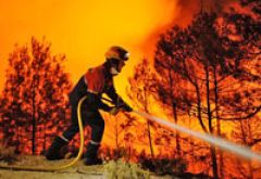 Прогнозы на 2014 год по лесным пожарам неутешительные