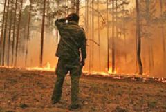 К концу июля площадь лесных пожаров достигла 3 млн. гектаров