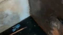 Пожаловались на затопленный подвал дома жители ЖК «Малое Павлино» Люберец