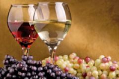 Минсельхоз поддерживает идею разработки специального закона о вине и виноградарстве