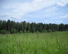 Право аренды земли в Люберецком районе Московской области будет продано на аукционе