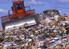 На территории Омска сотни гектаров заняли незаконные свалки мусора и отходов