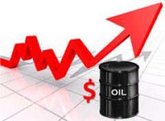 Александр Новак прогнозирует скорый рост цен на нефть до 100 долларов за баррель
