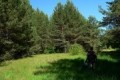 Весной наблюдался большой спрос на участки без подряда