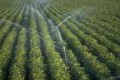 Правительство Краснодарского края намеревается изымать неэффективно используемые земельные участки