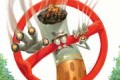 В Финляндии построят «некурящие» кварталы