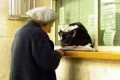 Власти намереваются субсидии на оплату ЖКУ привязать к квадратным метрам