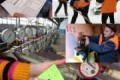 Работа управляющих компаний будет контролироваться общественными организациями