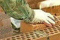 Минобороны обнародовало планы по строительству жилья на 2011 год