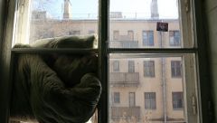 Более 20 конструктивистских посёлков планируется сохранить в Москве