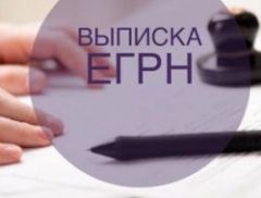 Законопроект, запрещающий перепродажу выписок из ЕГРН, могут смягчить