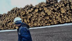 Китай и Красноярский край обсуждают создание деревообрабатывающего завода