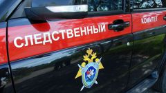 СК завел дело после обрушения стены в школе под Новосибирском