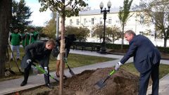 Более 7 тысяч деревьев высадят в Москве в рамках акции "Миллион деревьев"