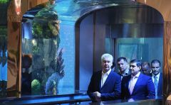 Собянин: число торговых объектов выросло на 60% за последние годы в Москве