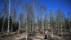 Китайская CRCC может принять участие в строительстве парка в новой Москве