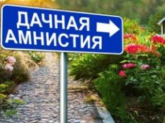 Дачную амнистию предложили продлить и расширить. Что это даст россиянам