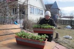 Как садоводы занимаются огородом в режиме самоизоляции