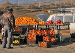 Эмбарго на поставки продукции из стран ЕС намерены воспользоваться в Грузии