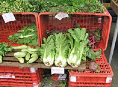 Столичный мэр поддерживает наполнение магазинов Москвы отечественными продуктами