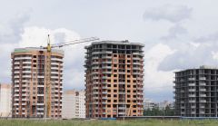 Областную деревню планируют присоединить к Питеру